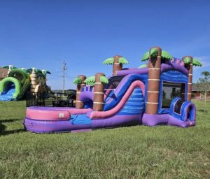 Mega Paradise Cove - Bounce house Rentals In Fort Myers, FL