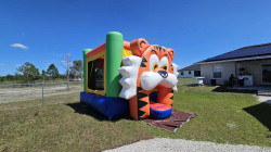 434787644 1446294296274828 4961199710103165373 n 1713207214 1 Tiger Bounce House 13x13