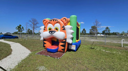 435752372 386678424246187 4579818325662456254 n 1713207580 Tiger Bounce House 13x13