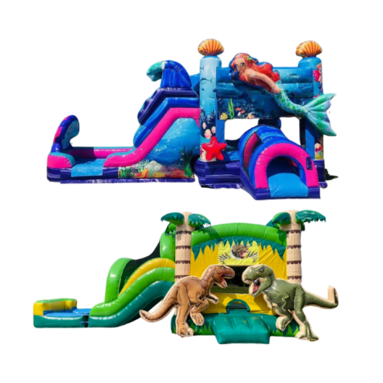 Bounce House / Waterslide Combos