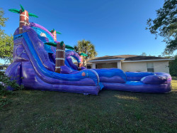 2220ft20Dl20Purple20Hurricance3 1745520772 24 FT Purple Hurricane Dual Lane Package