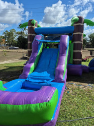 IMG 20250513 144713 1747392924 Jungle Jump and Splash Bounce House / Slide Combo
