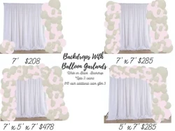 Backdrop w/ Balloon Garland