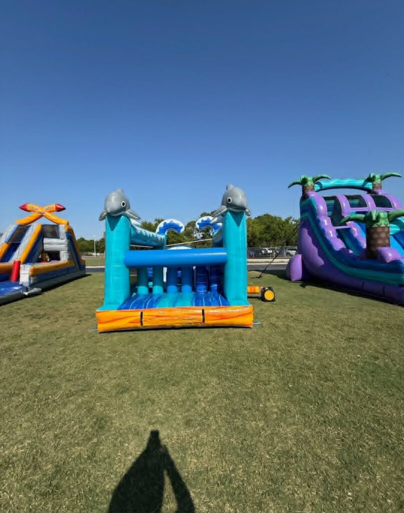 Dolphin bounce house and inflatable water slides set up outdoors by Family First Events and Rentals, available for party rentals in North Fort Myers FL