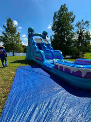 1620Ft20Jelly20Fish20Water20Slide 1783479505 1 Scarlett's 16 FT Jellyfish Falls Water Slide