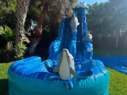 1920FT20Dolphin20Water20Slide2 1783479248 1 19 FT Lily's Dolphin Water Slide