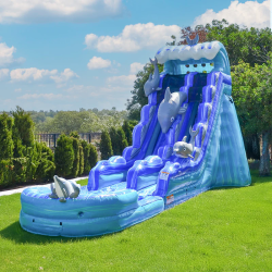 1920Ft20Dolphin20Water20Slide 1783479589 1 19 FT Lily's Dolphin Water Slide